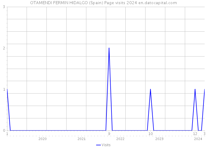 OTAMENDI FERMIN HIDALGO (Spain) Page visits 2024 