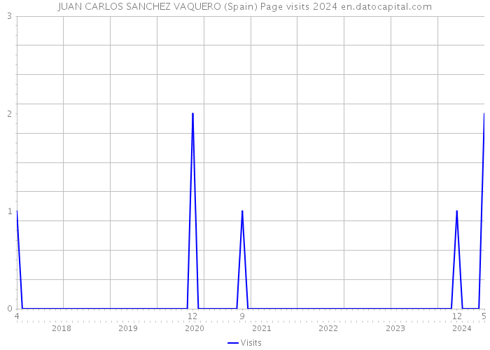 JUAN CARLOS SANCHEZ VAQUERO (Spain) Page visits 2024 