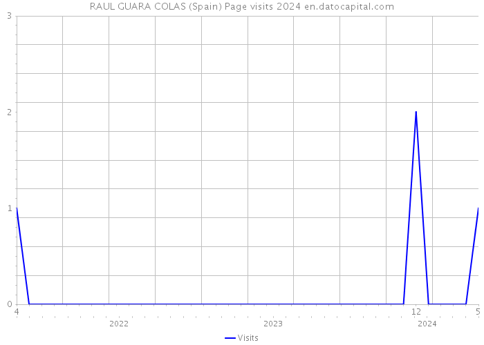 RAUL GUARA COLAS (Spain) Page visits 2024 