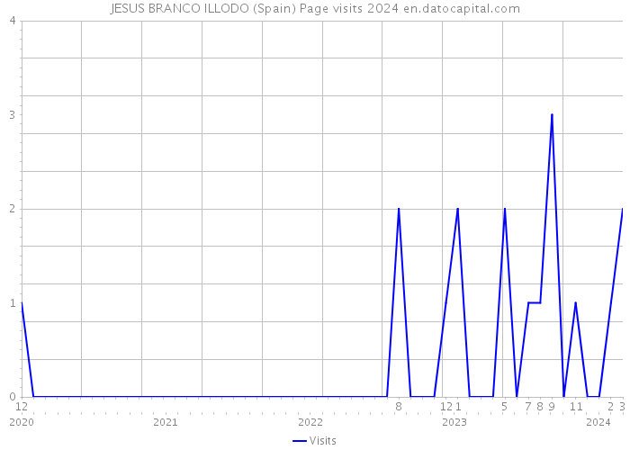 JESUS BRANCO ILLODO (Spain) Page visits 2024 