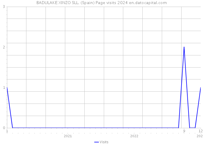 BADULAKE XINZO SLL. (Spain) Page visits 2024 
