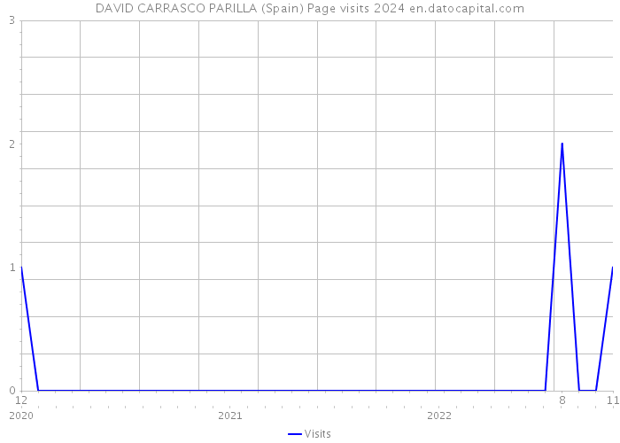 DAVID CARRASCO PARILLA (Spain) Page visits 2024 