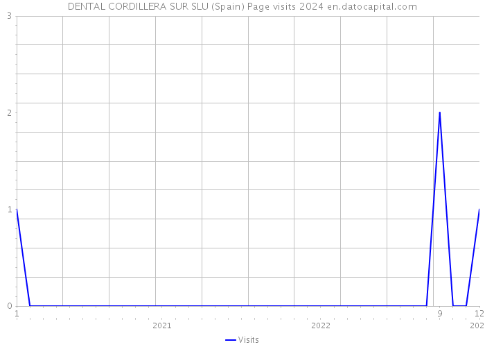 DENTAL CORDILLERA SUR SLU (Spain) Page visits 2024 
