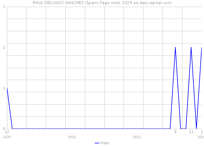 RAUL DELGADO SANCHEZ (Spain) Page visits 2024 