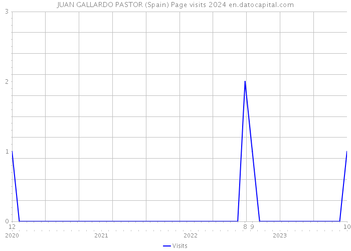 JUAN GALLARDO PASTOR (Spain) Page visits 2024 