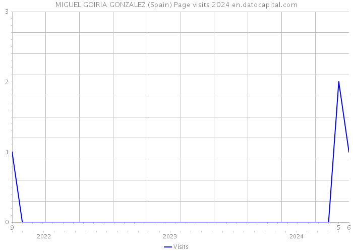 MIGUEL GOIRIA GONZALEZ (Spain) Page visits 2024 