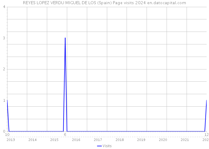 REYES LOPEZ VERDU MIGUEL DE LOS (Spain) Page visits 2024 