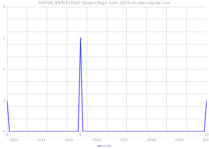 RAFAEL BAÑON DIAZ (Spain) Page visits 2024 