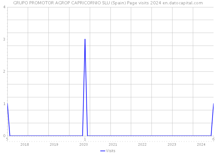 GRUPO PROMOTOR AGROP CAPRICORNIO SLU (Spain) Page visits 2024 