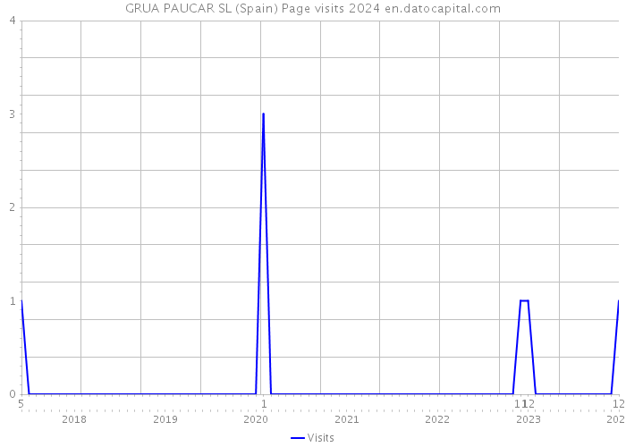 GRUA PAUCAR SL (Spain) Page visits 2024 