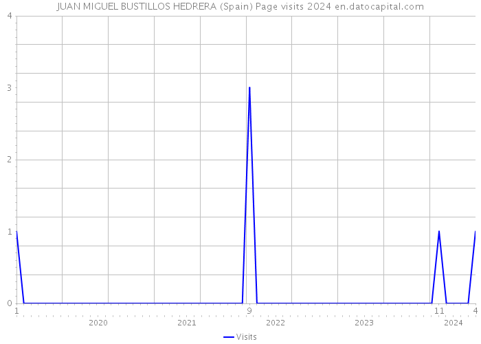 JUAN MIGUEL BUSTILLOS HEDRERA (Spain) Page visits 2024 