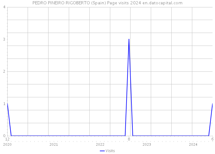 PEDRO PINEIRO RIGOBERTO (Spain) Page visits 2024 