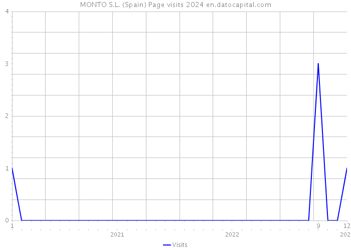 MONTO S.L. (Spain) Page visits 2024 