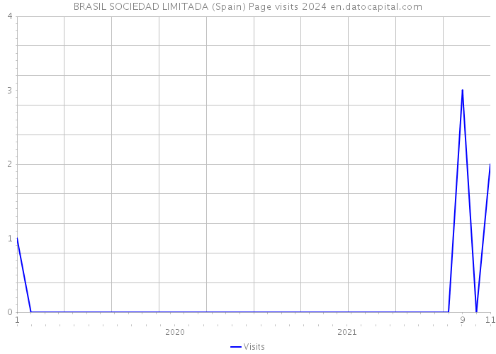 BRASIL SOCIEDAD LIMITADA (Spain) Page visits 2024 