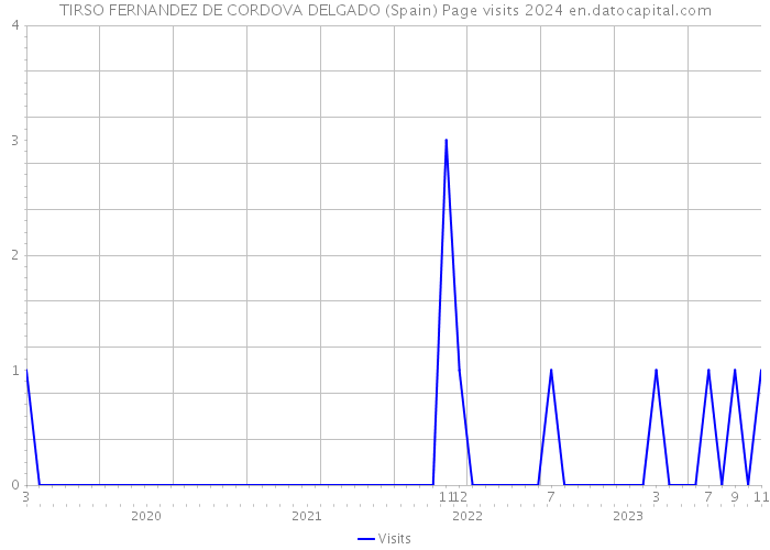 TIRSO FERNANDEZ DE CORDOVA DELGADO (Spain) Page visits 2024 