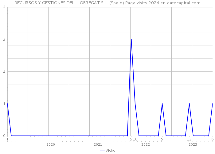 RECURSOS Y GESTIONES DEL LLOBREGAT S.L. (Spain) Page visits 2024 