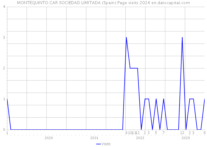 MONTEQUINTO CAR SOCIEDAD LIMITADA (Spain) Page visits 2024 