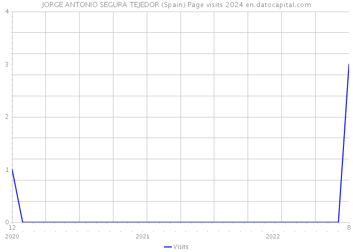 JORGE ANTONIO SEGURA TEJEDOR (Spain) Page visits 2024 