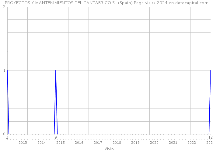PROYECTOS Y MANTENIMIENTOS DEL CANTABRICO SL (Spain) Page visits 2024 