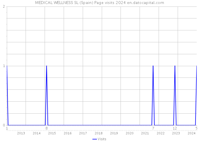 MEDICAL WELLNESS SL (Spain) Page visits 2024 