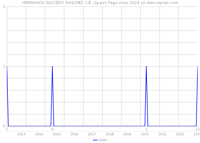 HERMANOS SALCEDO SANCHEZ C.B. (Spain) Page visits 2024 