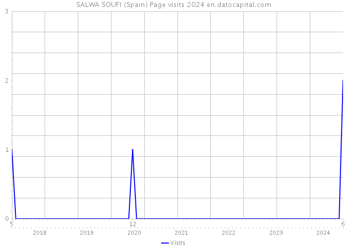 SALWA SOUFI (Spain) Page visits 2024 