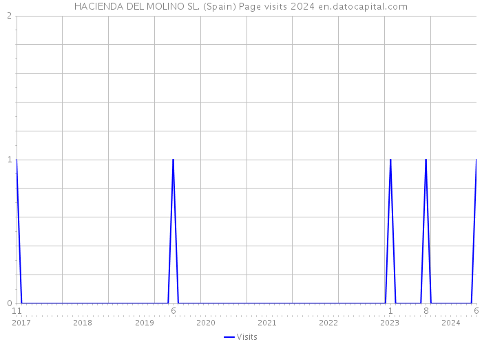 HACIENDA DEL MOLINO SL. (Spain) Page visits 2024 