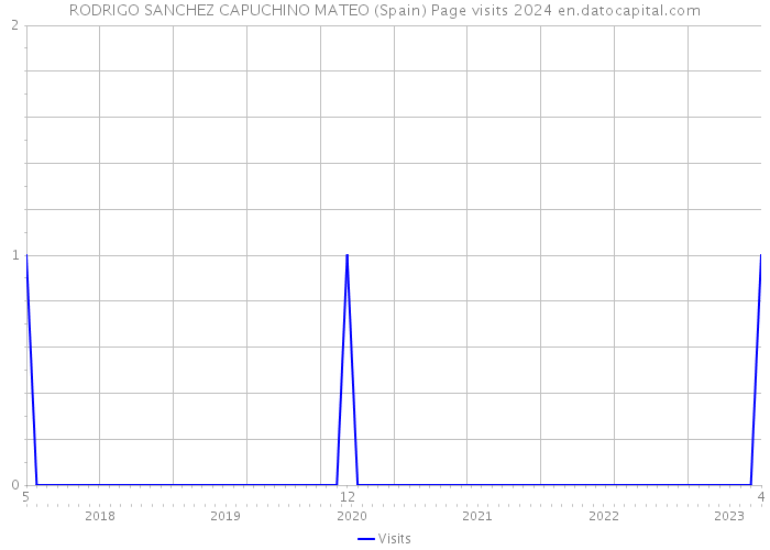 RODRIGO SANCHEZ CAPUCHINO MATEO (Spain) Page visits 2024 