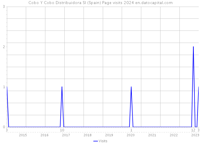 Cobo Y Cobo Distribuidora Sl (Spain) Page visits 2024 