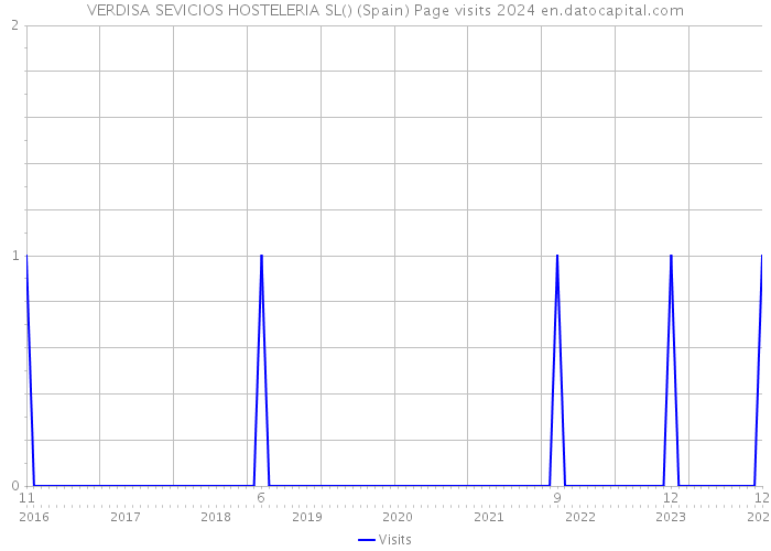 VERDISA SEVICIOS HOSTELERIA SL() (Spain) Page visits 2024 