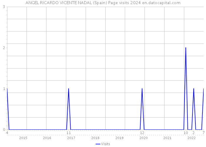 ANGEL RICARDO VICENTE NADAL (Spain) Page visits 2024 