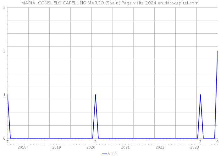 MARIA-CONSUELO CAPELLINO MARCO (Spain) Page visits 2024 
