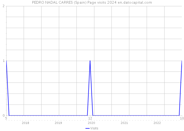 PEDRO NADAL CARRES (Spain) Page visits 2024 