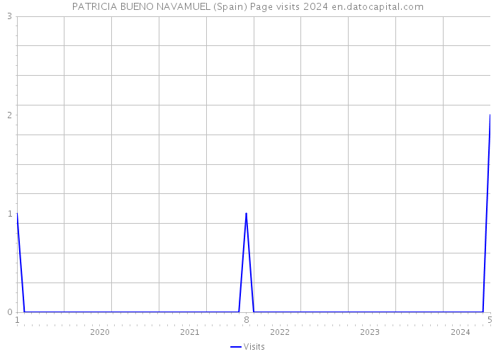 PATRICIA BUENO NAVAMUEL (Spain) Page visits 2024 