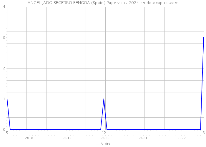 ANGEL JADO BECERRO BENGOA (Spain) Page visits 2024 