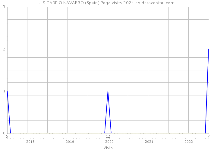 LUIS CARPIO NAVARRO (Spain) Page visits 2024 