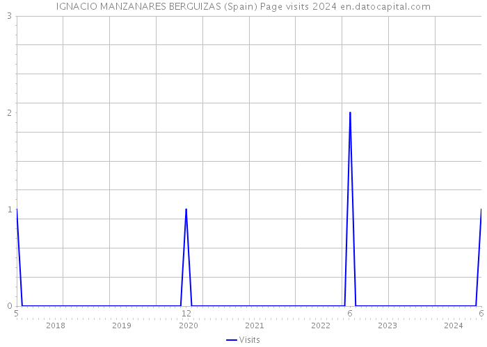 IGNACIO MANZANARES BERGUIZAS (Spain) Page visits 2024 