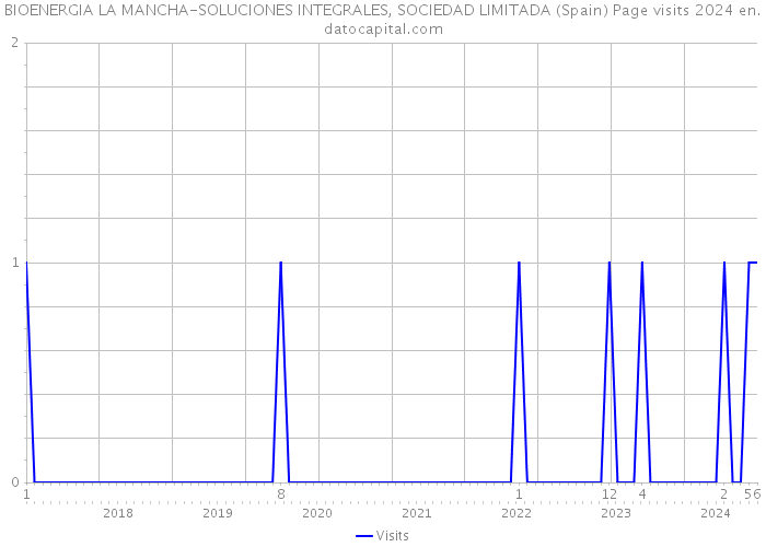 BIOENERGIA LA MANCHA-SOLUCIONES INTEGRALES, SOCIEDAD LIMITADA (Spain) Page visits 2024 