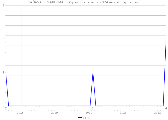 CAÑAVATE MARITIMA SL (Spain) Page visits 2024 