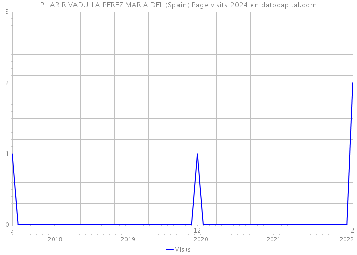 PILAR RIVADULLA PEREZ MARIA DEL (Spain) Page visits 2024 