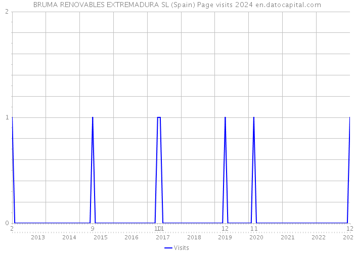 BRUMA RENOVABLES EXTREMADURA SL (Spain) Page visits 2024 