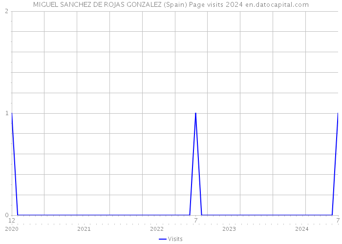 MIGUEL SANCHEZ DE ROJAS GONZALEZ (Spain) Page visits 2024 