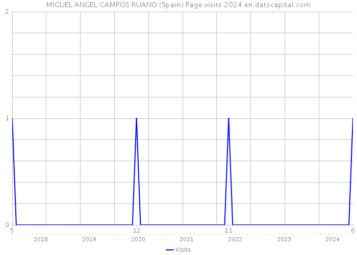 MIGUEL ANGEL CAMPOS RUANO (Spain) Page visits 2024 