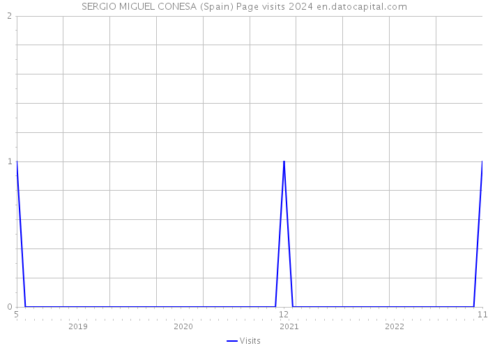 SERGIO MIGUEL CONESA (Spain) Page visits 2024 