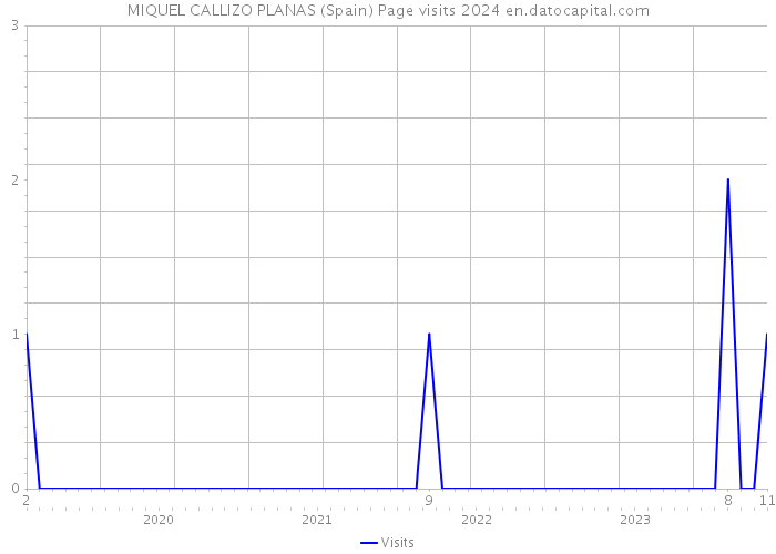 MIQUEL CALLIZO PLANAS (Spain) Page visits 2024 