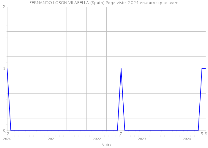 FERNANDO LOBON VILABELLA (Spain) Page visits 2024 