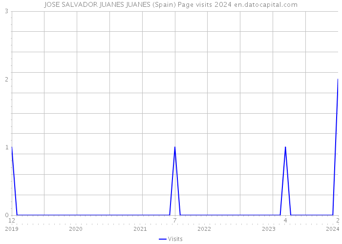 JOSE SALVADOR JUANES JUANES (Spain) Page visits 2024 