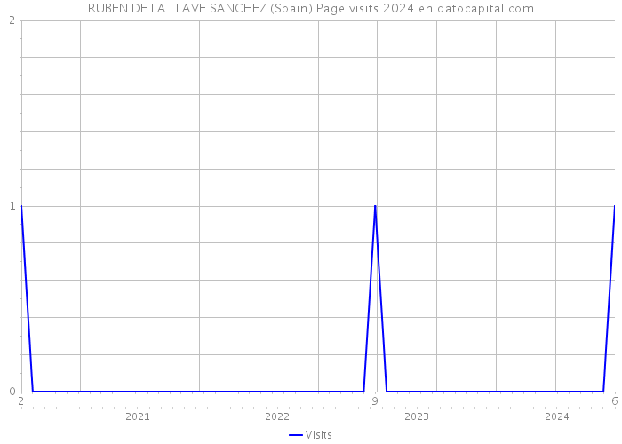 RUBEN DE LA LLAVE SANCHEZ (Spain) Page visits 2024 