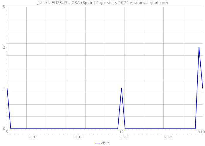 JULIAN ELIZBURU OSA (Spain) Page visits 2024 