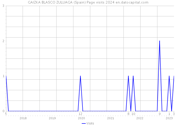 GAIZKA BLASCO ZULUAGA (Spain) Page visits 2024 